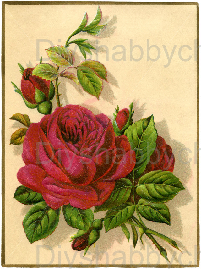 Waterslide Decal Image Transfer Vintage Upcycle Shabby Chic Beautiful Roses DIY 